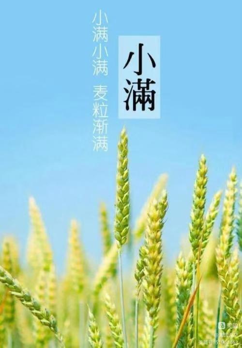 七绝组诗《二十四节气》 | 高海林（图9）