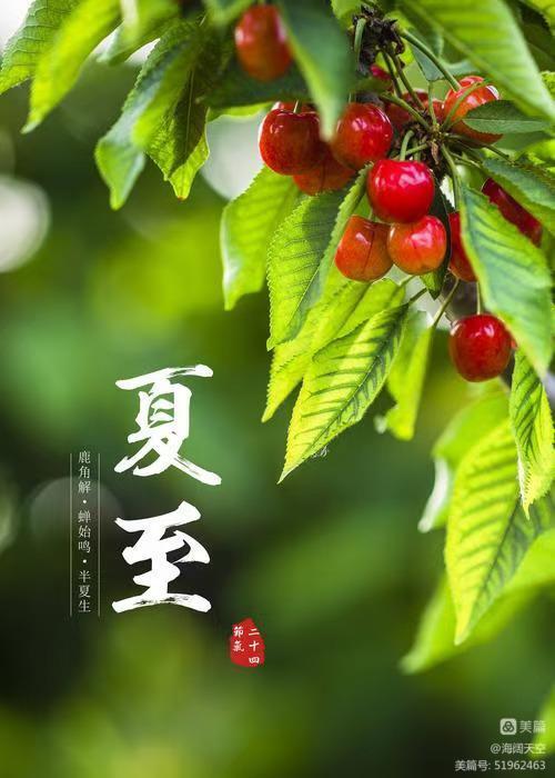 七绝组诗《二十四节气》 | 高海林（图11）