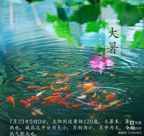 七绝组诗《二十四节气》 | 高海林（图13）
