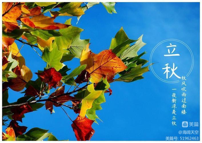 七绝组诗《二十四节气》 | 高海林（图14）