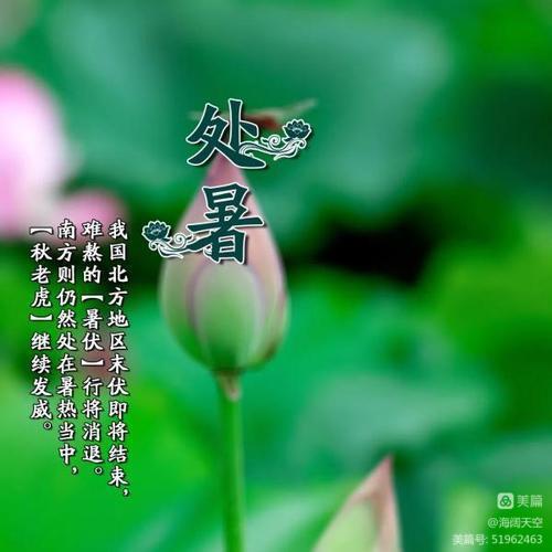 七绝组诗《二十四节气》 | 高海林（图15）