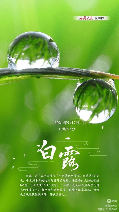 七绝组诗《二十四节气》 | 高海林（图16）