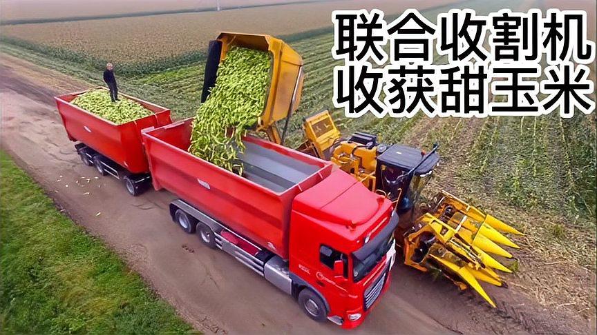 【中华头条】分享中原（山东日照）纪宪洲《七律•秋实》请欣赏（图6）