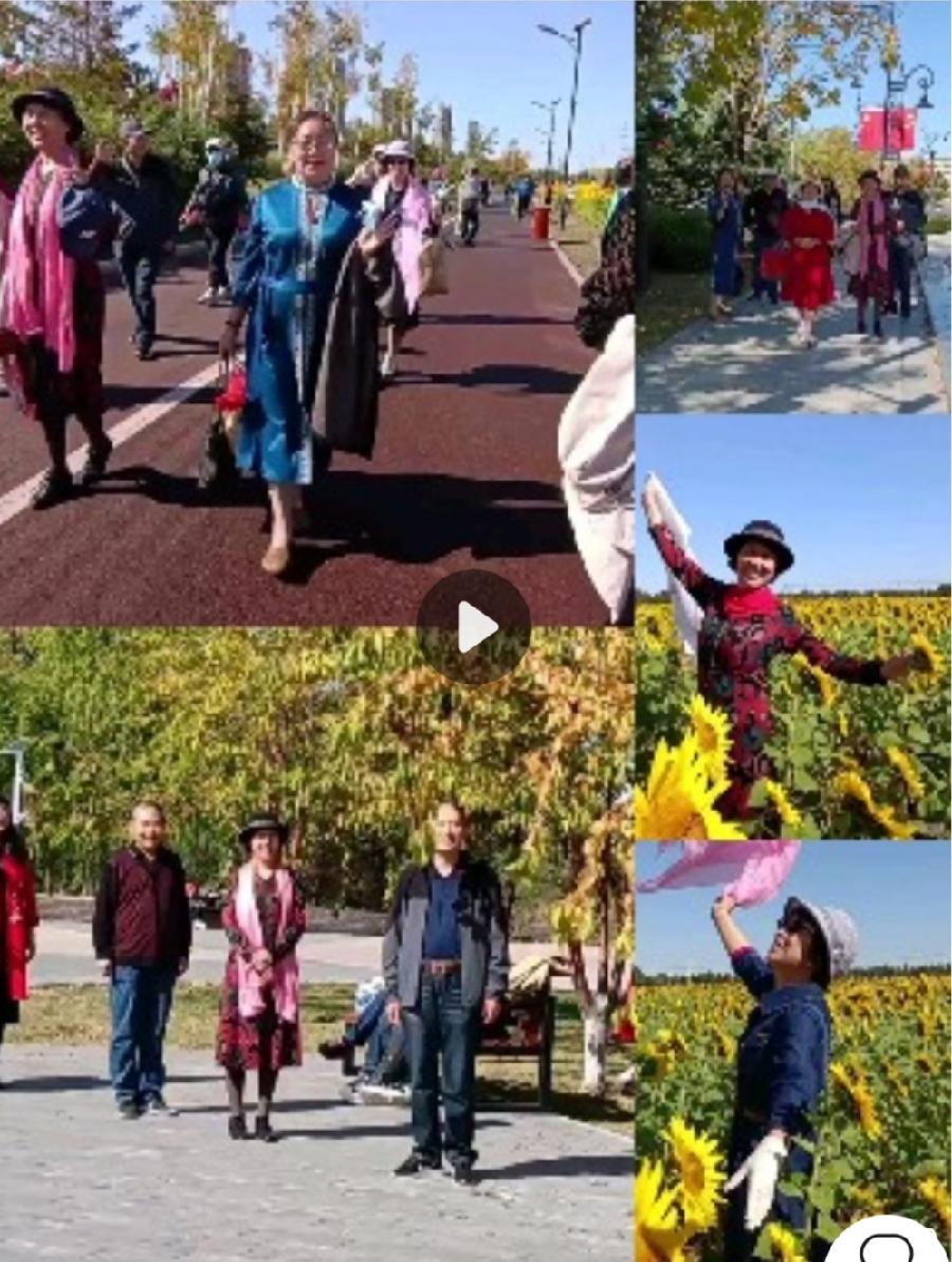 中华诗艺龙江分社推介/张健夫:双节将至聚友缘 赏葵揽胜谱新篇(图23)