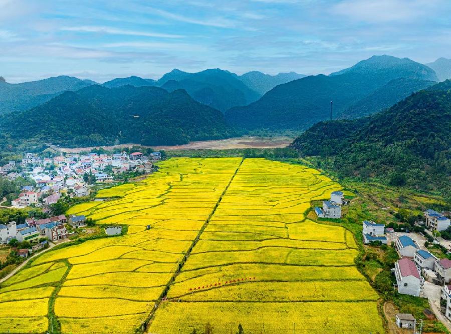 五排律·登山远眺秋思 作者:吴云钦