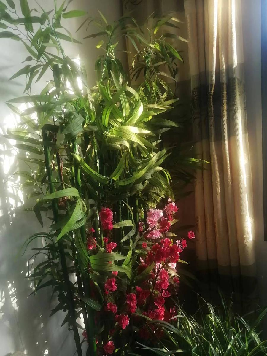 《耆耋耄耇耉节吟》联机全球发布袁华成精品诗歌欣赏！（图7）