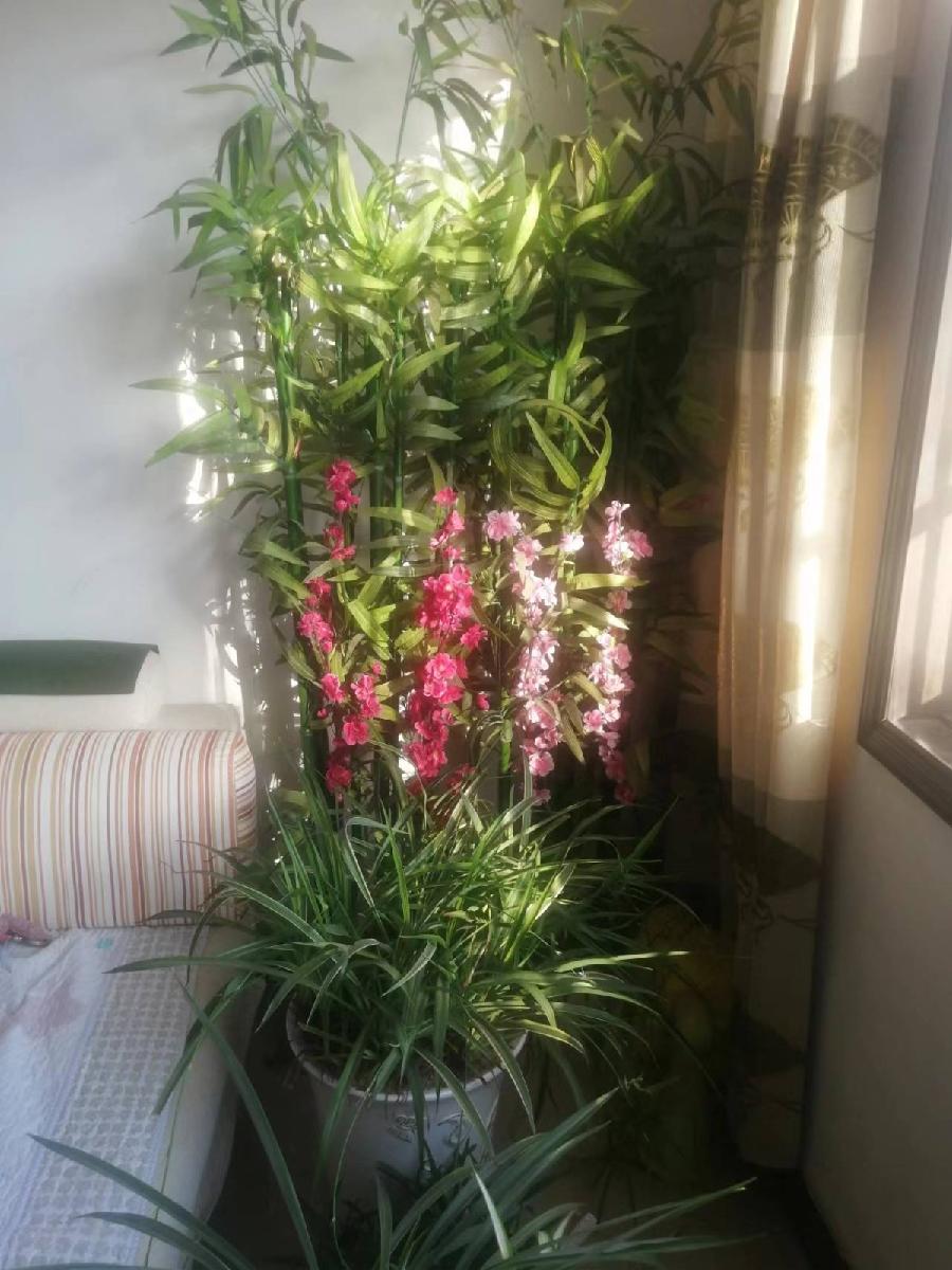 《耆耋耄耇耉节吟》联机全球发布袁华成精品诗歌欣赏！（图4）
