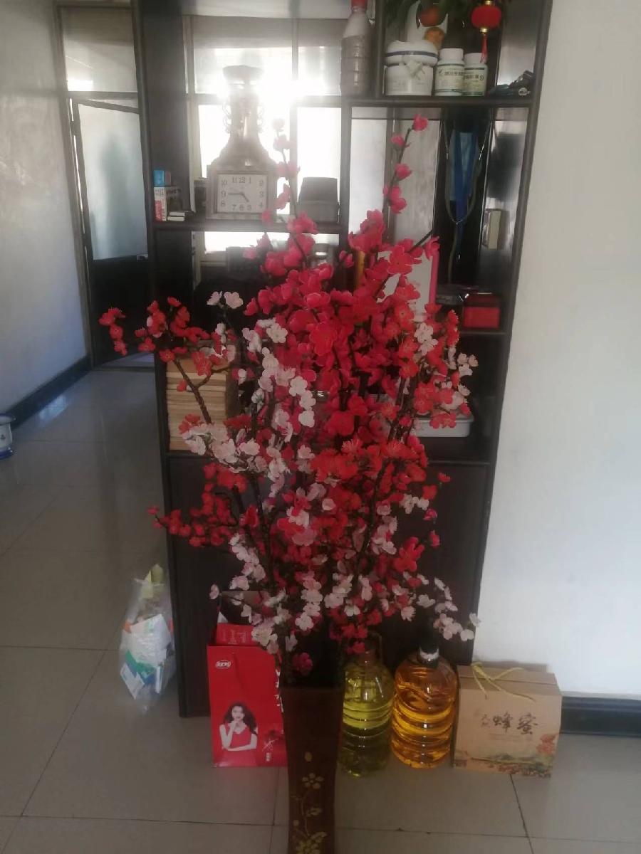 《耆耋耄耇耉节吟》联机全球发布袁华成精品诗歌欣赏！（图6）