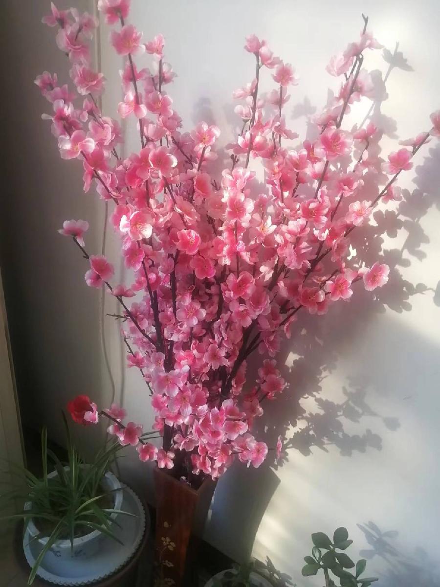 《耆耋耄耇耉节吟》联机全球发布袁华成精品诗歌欣赏！（图8）