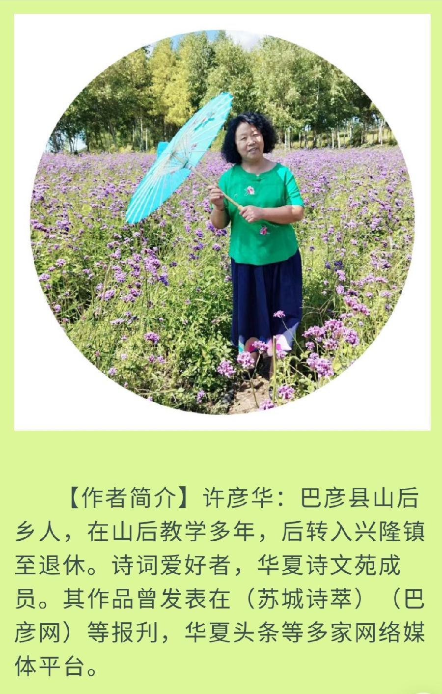 中华诗艺黑龙江分社推介/许彦华:我吹过你吹过的风【原创】（图3）