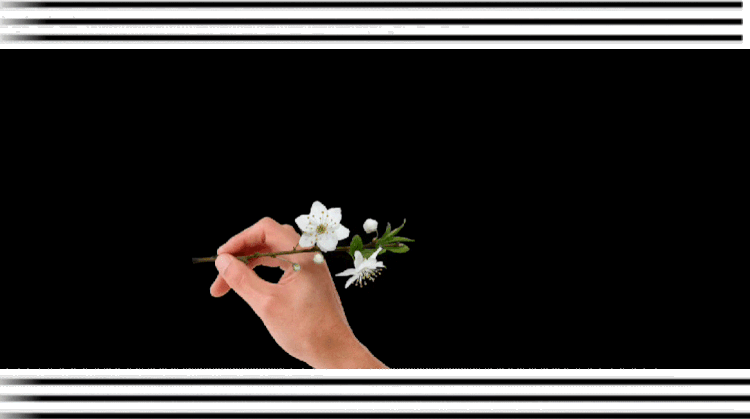 【中华头条】推介红尘一梦组诗请欣赏（图3）
