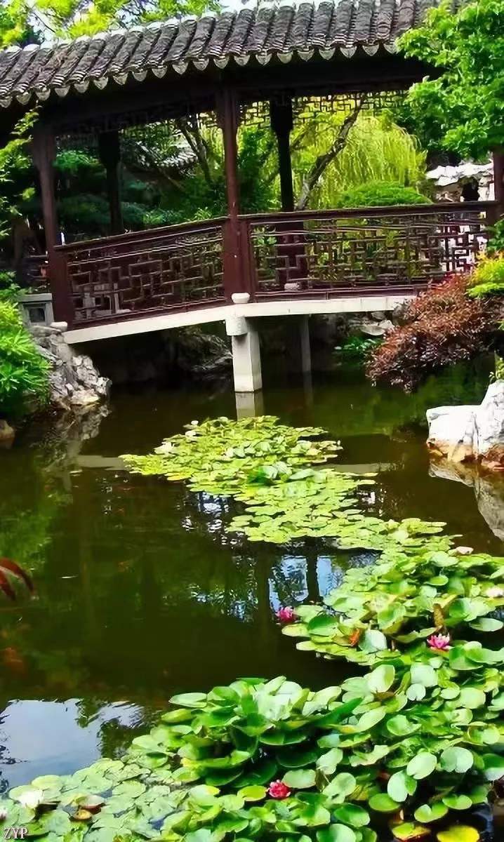 中华诗艺黑龙江分社推介/道可诗余斯文:《快旅爽归》(图8)