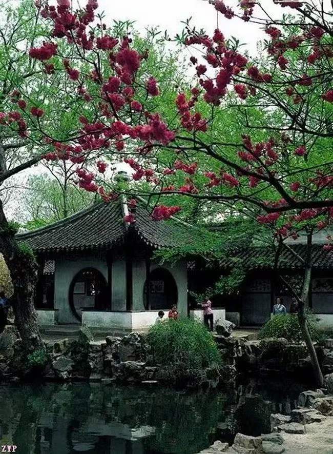 中华诗艺黑龙江分社推介/道可诗余斯文:《快旅爽归》(图11)