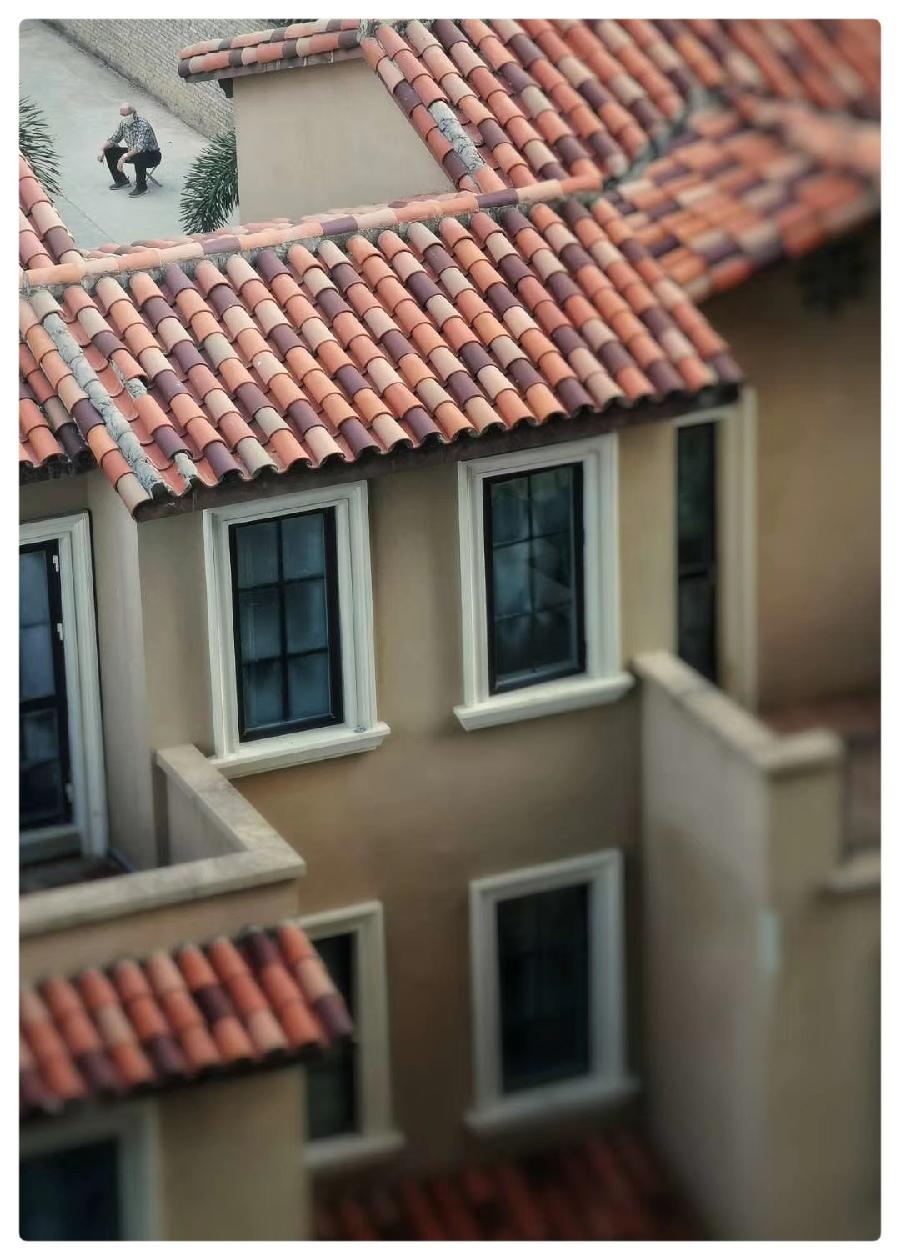 摄影杂弹 ∥ 作者：云轻 ∥ 摄影·诵读：老菩提（图8）