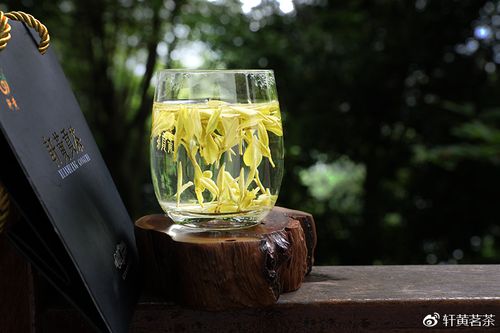 念奴娇/轩黄贡茶/文/应子根（图2）