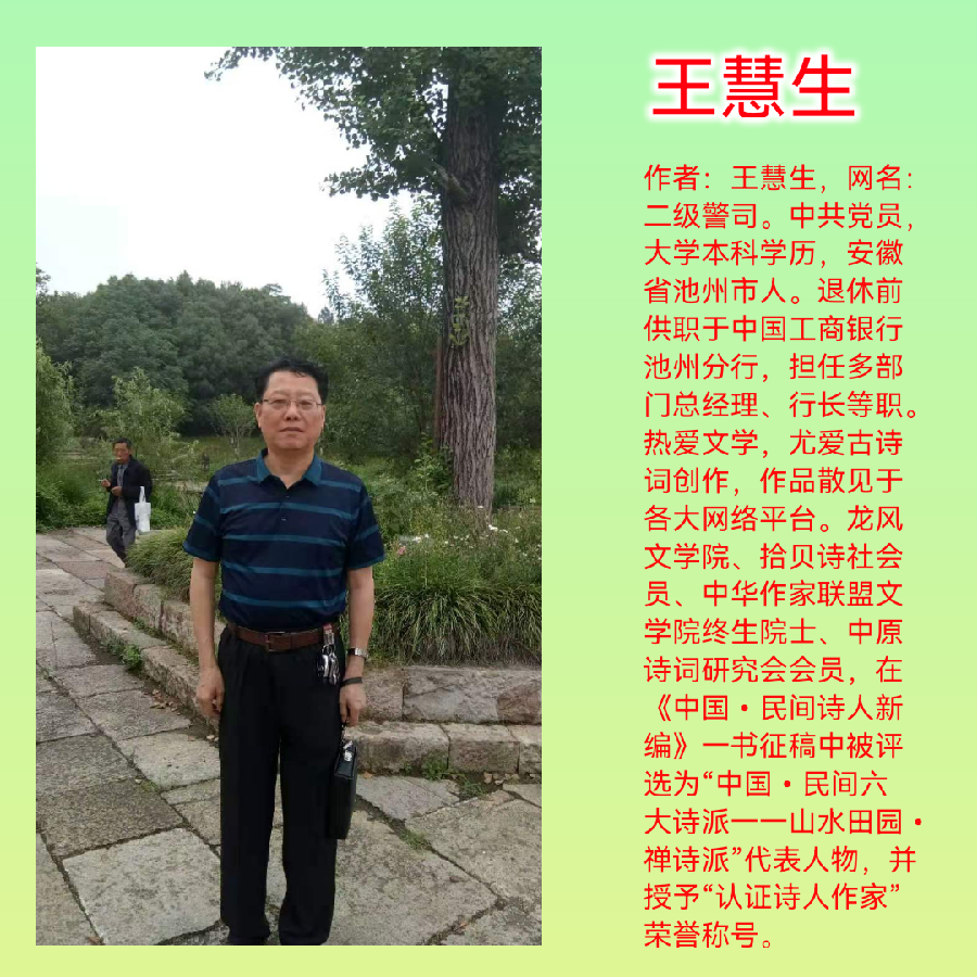 王慧生老师诗词欣赏（图4）