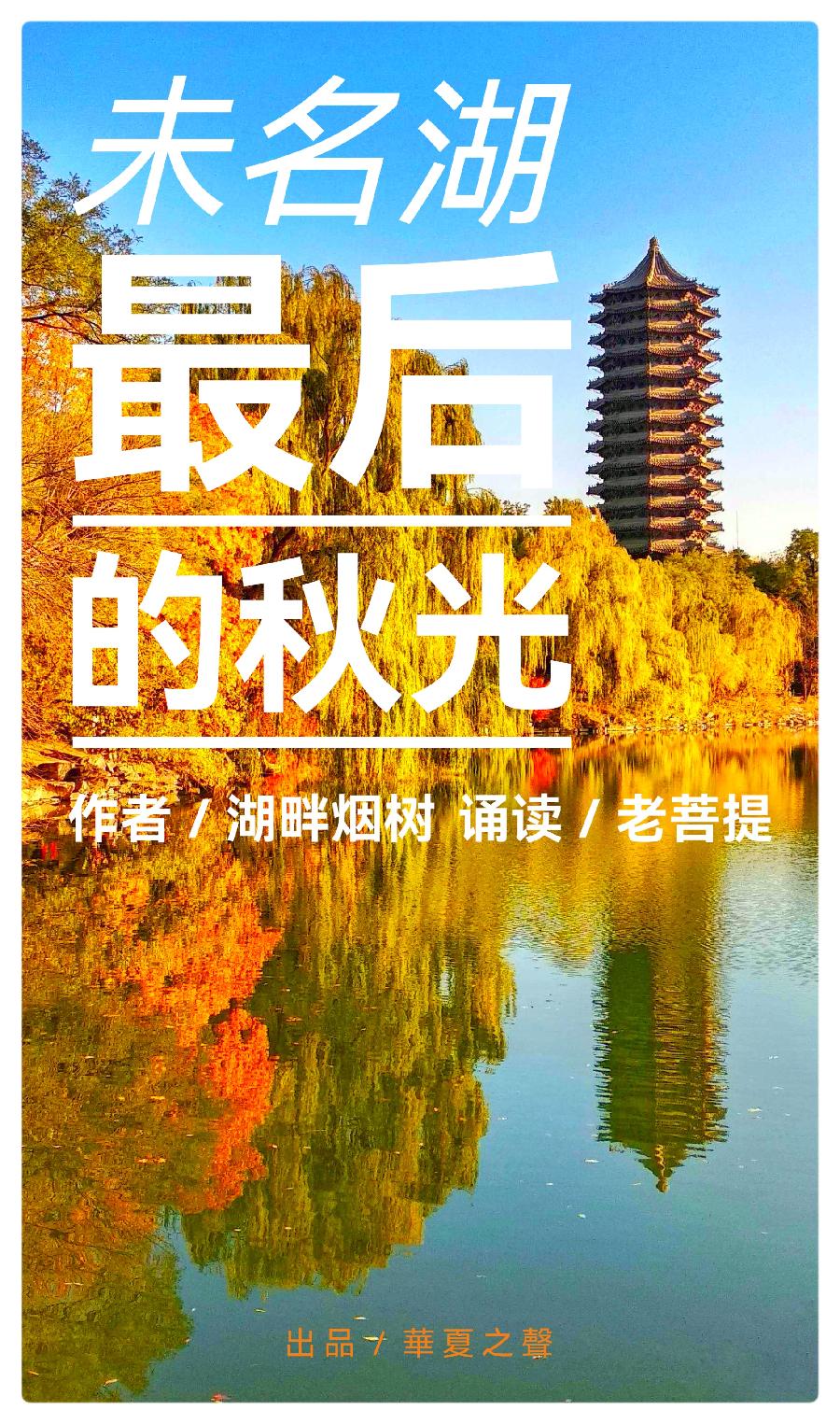 《未名湖最后的秋光》作者:湖畔烟树 诵读:老菩提(图2)
