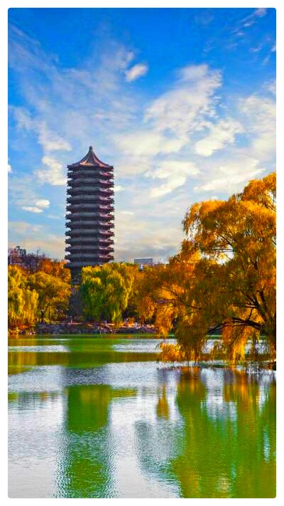 《未名湖最后的秋光》作者:湖畔烟树 诵读:老菩提(图4)