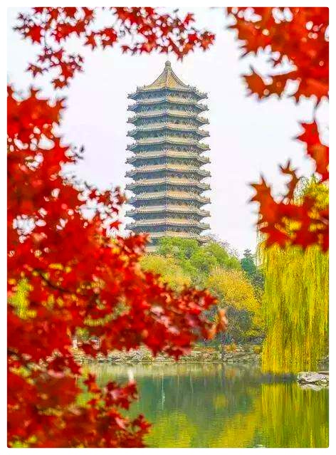 《未名湖最后的秋光》作者:湖畔烟树 诵读:老菩提(图7)