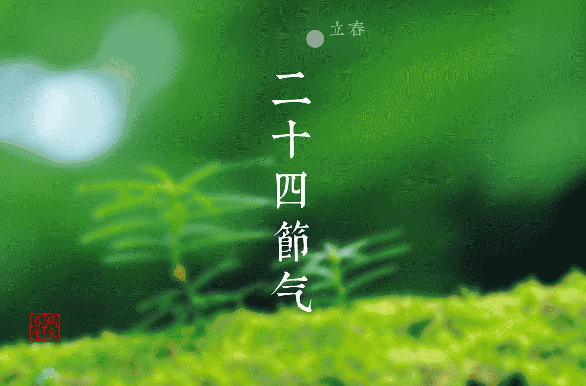 《中国爱情诗刊》【中国爱情诗人档案】（第4821期)台湾诗人：项美静的诗（图5）