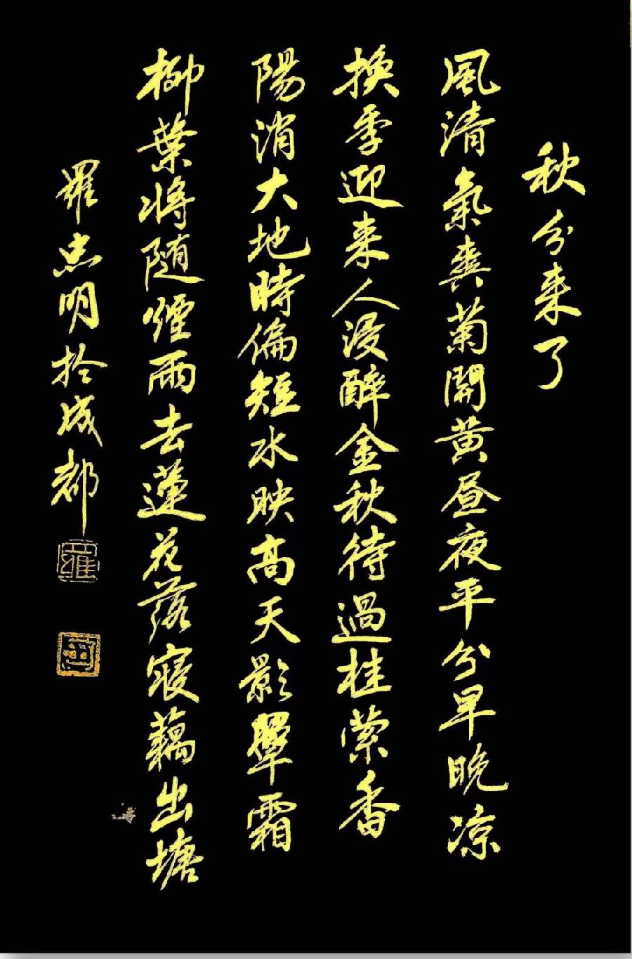 诗人、书法家罗忠明原创诗书佳作欣赏(图12)