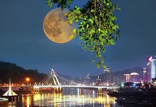 【金榜头条】推介青海西宁分社社长宋云波《雨夜》请欣赏（图5）