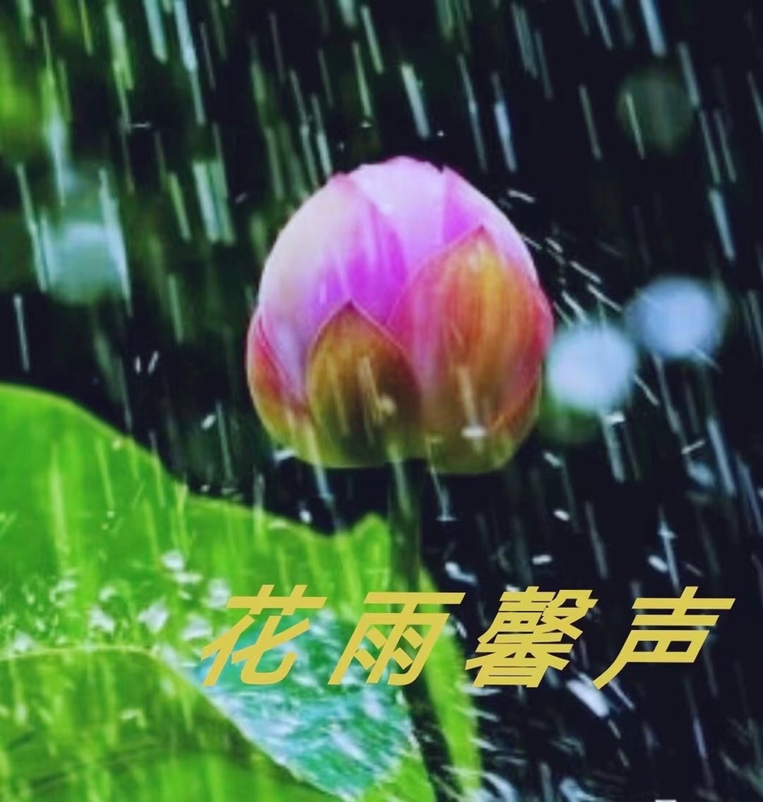 【花雨馨声有声文学平台】《永远的珠穆朗玛峰》作者/赵永富//诵读/瑞雪丰年/编辑/天水叶子【第7期】(图6)
