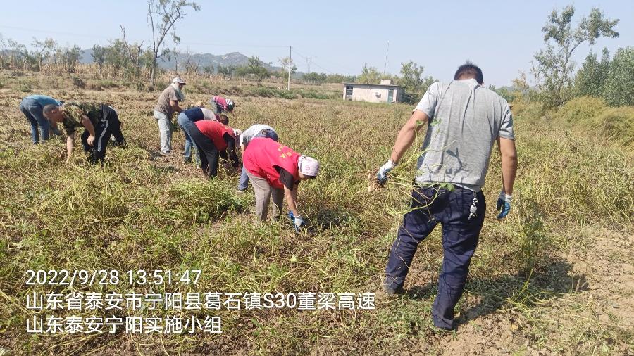 助老抢收情意浓 深入田间解民忧