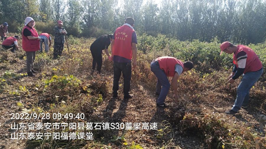 助老抢收情意浓 深入田间解民忧（图3）