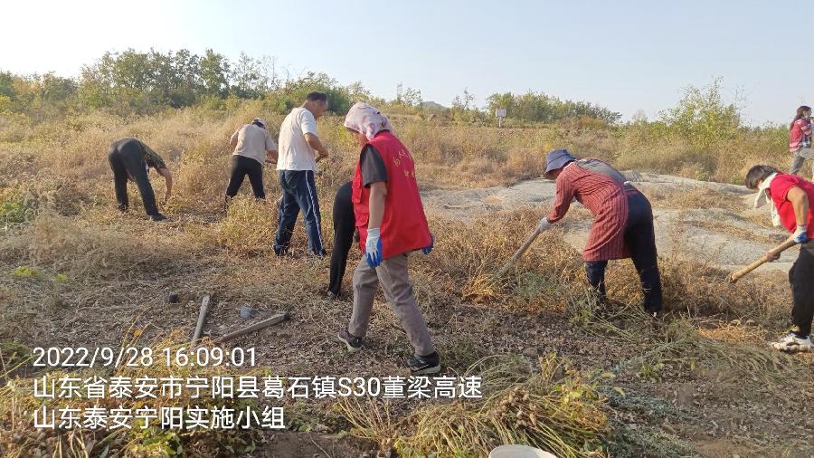 助老抢收情意浓 深入田间解民忧（图2）