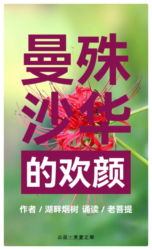 曼殊沙华的欢颜∥作者：湖畔烟树∥诵读：老菩提（图2）