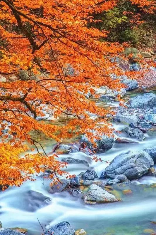 【神州源流诗苑】第756期[优秀现代诗]（含其他）周刊（图13）