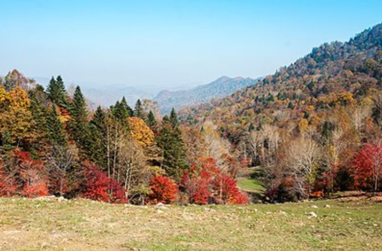 五花山风情‖巴彦诗协诗词卷【266】（图8）