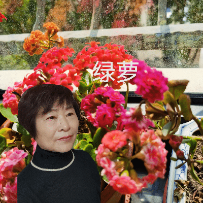 【中国长江文学社】有声文学平台《七绝 东湖秋色五咏》作者朱守平/诵读绿萝/制作宋梅【第4671期】（图9）