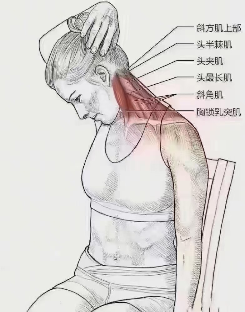 它若堵了，会让你天天不舒服