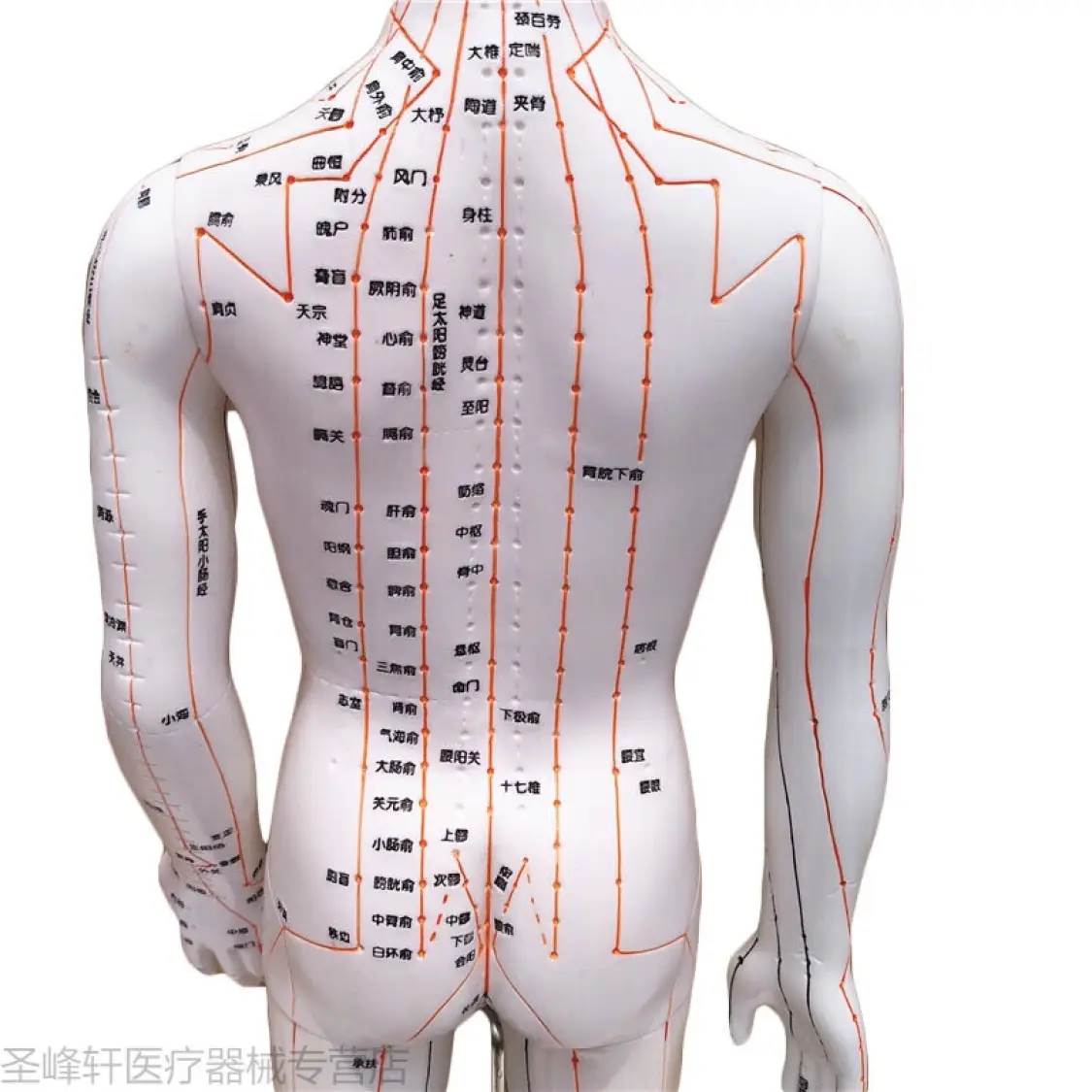 它若堵了，会让你天天不舒服（图2）