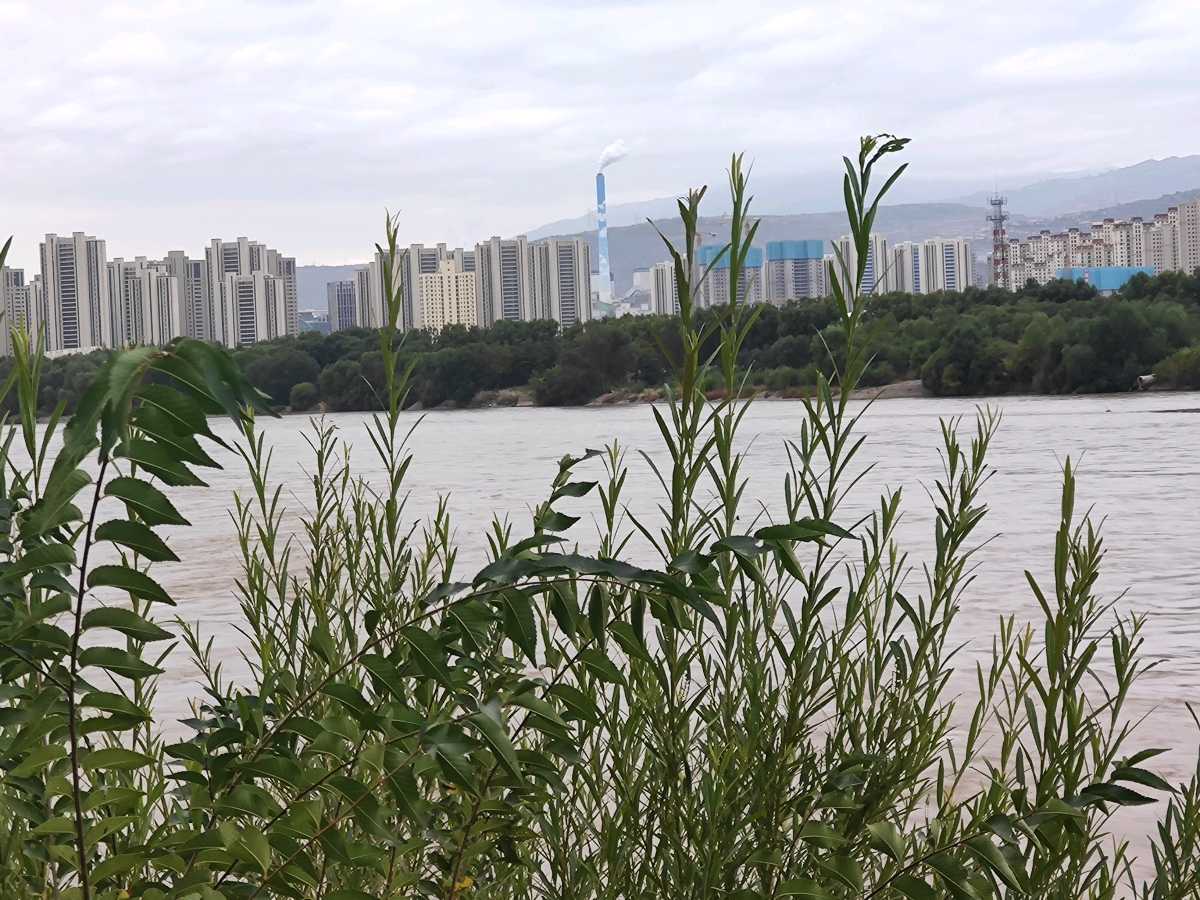 黄河之滨国庆情 作者：渝陇之子 京津沪头条（图3）