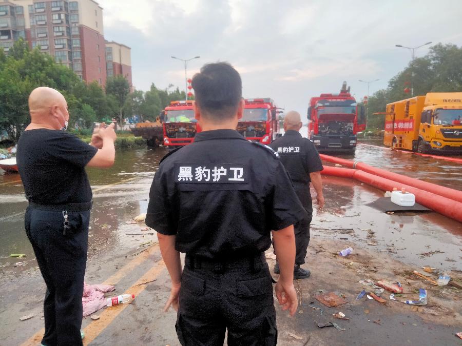 时代的黑豹护卫(图5)