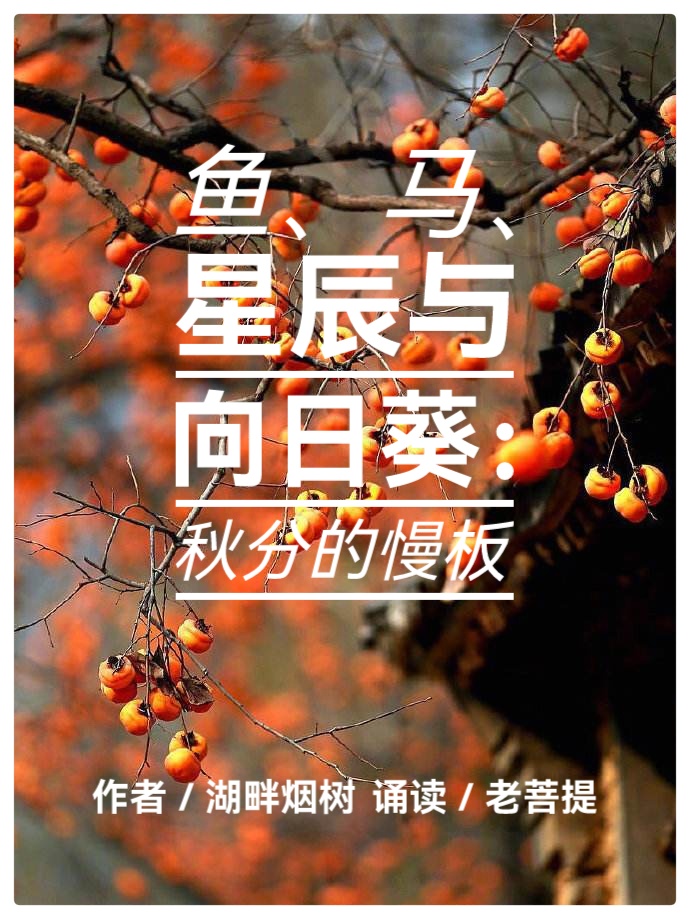 鱼、马、星辰与向日葵：秋分的慢板∥作者：湖畔烟树∥诵读：老菩提（图2）