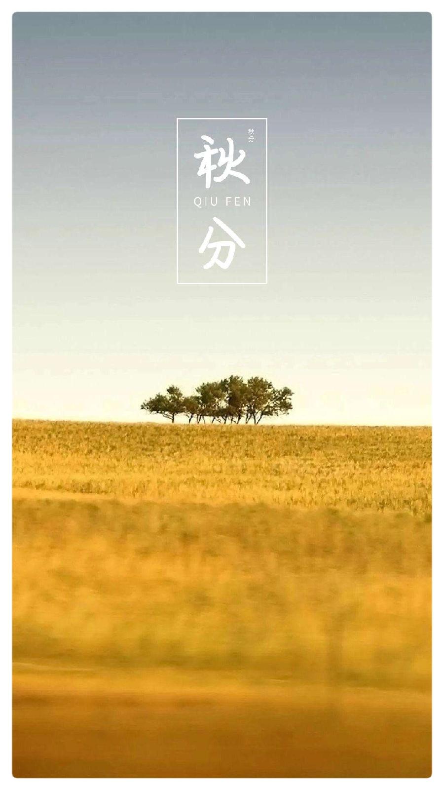 鱼、马、星辰与向日葵：秋分的慢板∥作者：湖畔烟树∥诵读：老菩提（图4）
