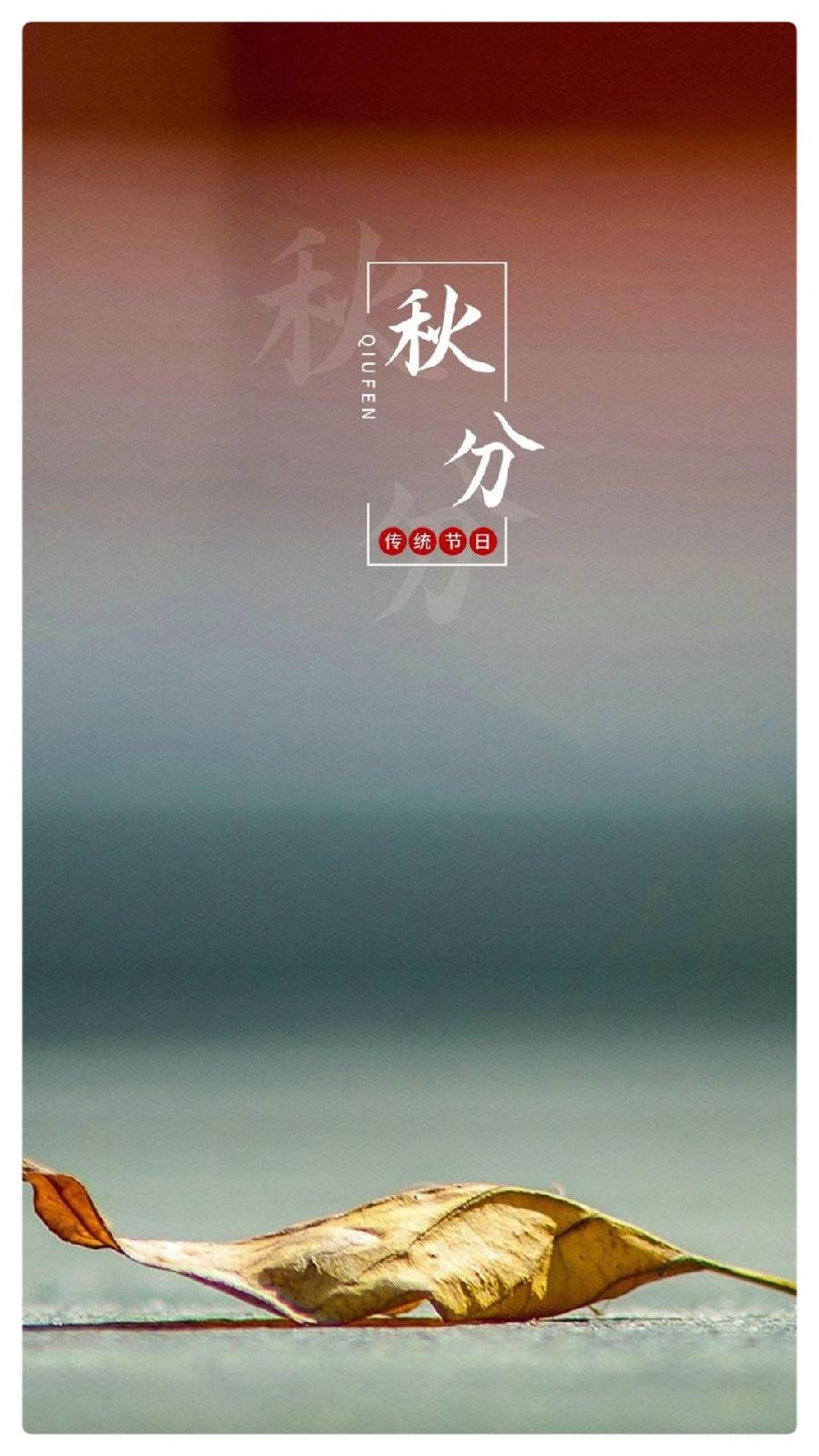 鱼、马、星辰与向日葵：秋分的慢板∥作者：湖畔烟树∥诵读：老菩提（图5）