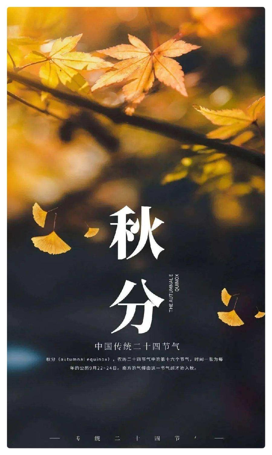 鱼、马、星辰与向日葵：秋分的慢板∥作者：湖畔烟树∥诵读：老菩提（图6）