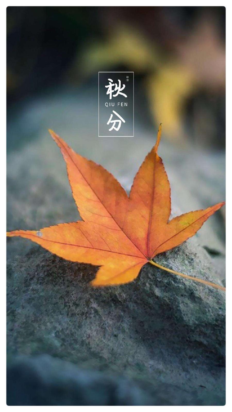 鱼、马、星辰与向日葵：秋分的慢板∥作者：湖畔烟树∥诵读：老菩提（图8）
