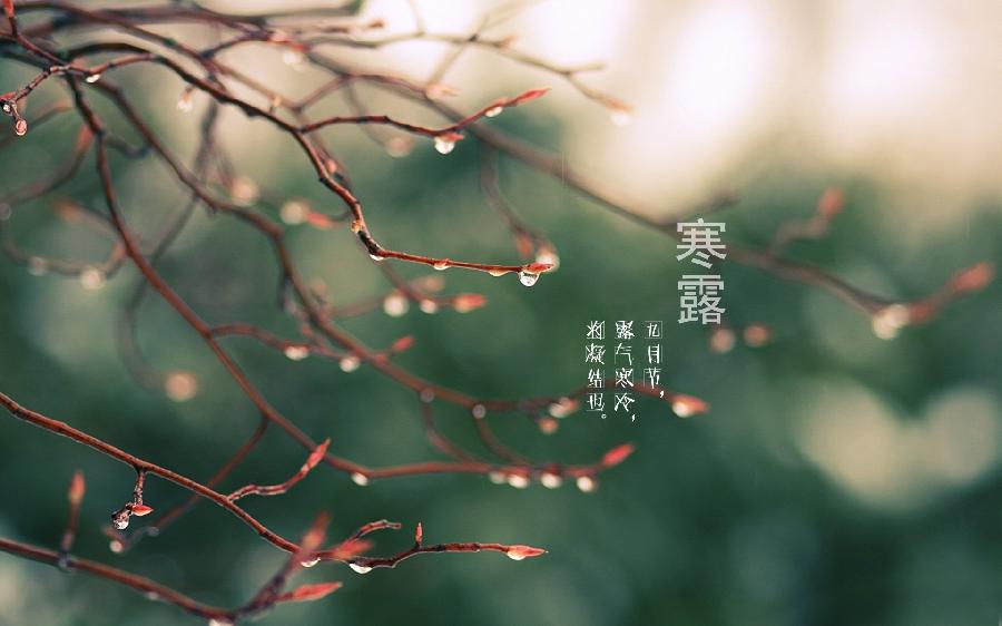 中华诗艺黑龙江分社推介/卢进国:寒露（图3）