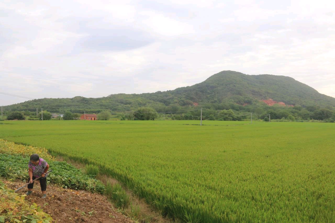 〔七绝〕湖熟八景 作者 赵阳春（南京）【冰心文化传媒】（图40）