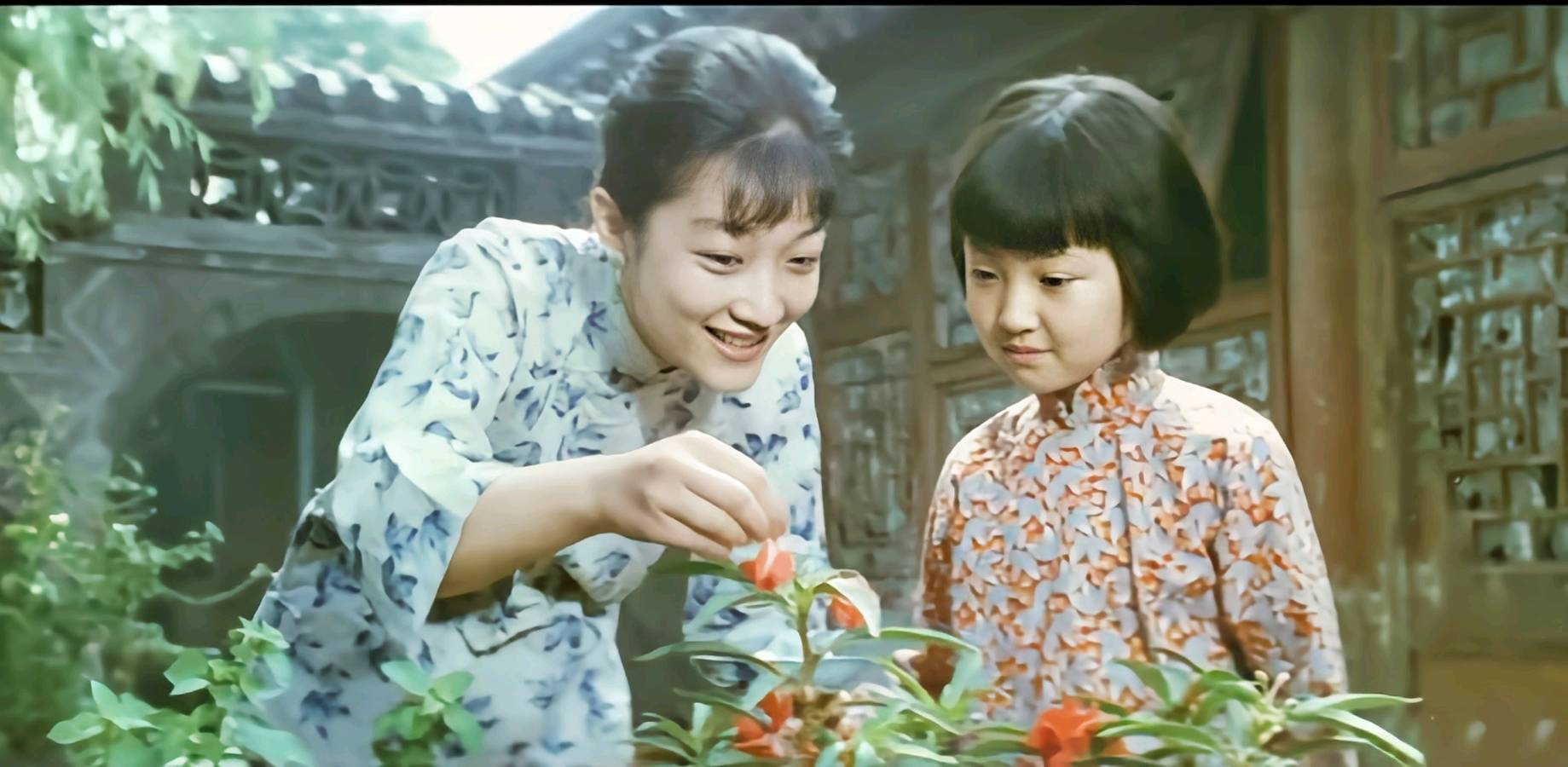 热点 精华作品展播 银龄朗诵艺苑 金兰朗诵《城南旧事·节选》作者:林海音(图3)