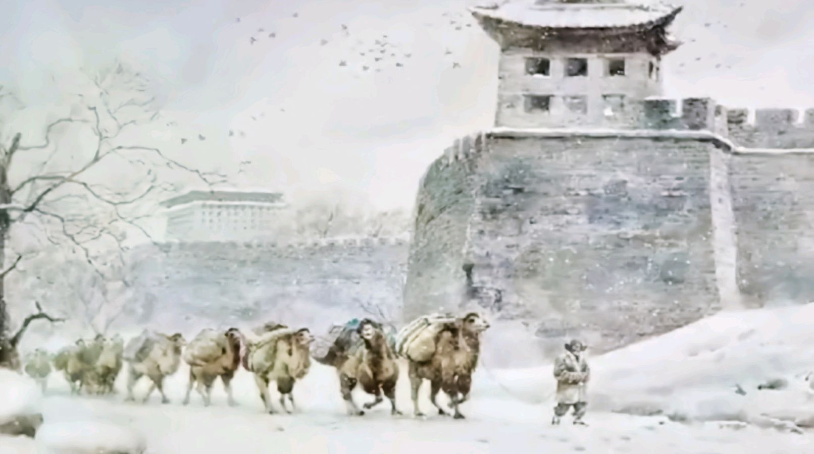 热点 精华作品展播 银龄朗诵艺苑 金兰朗诵《城南旧事·节选》作者:林海音(图6)