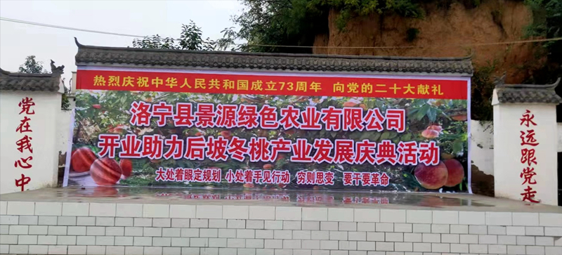 001703603.jpg 1_鍓湰.jpg
