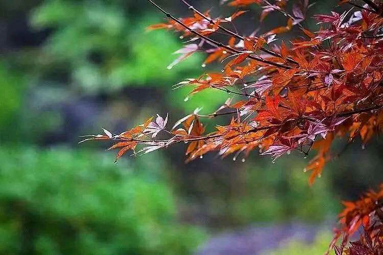 秋的心事 赵正霞/（青海）京津沪头条（图2）
