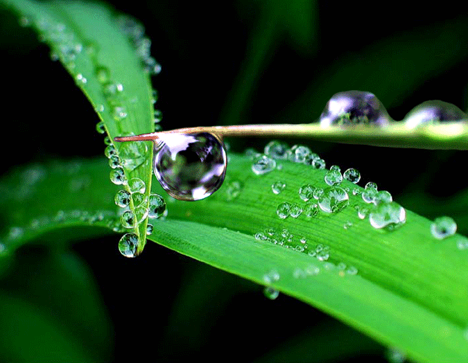 《中国爱情诗刊》【中国爱情诗人档案】（第4829期)北京诗人：鲁丁的诗（图5）